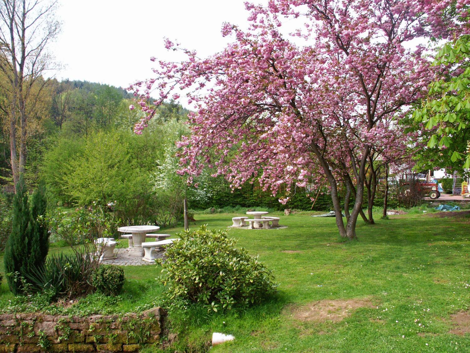 Hotel zum Engel Mespelbrunn Buitenkant foto